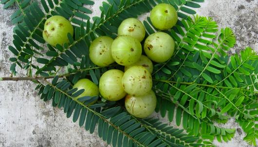 Amla