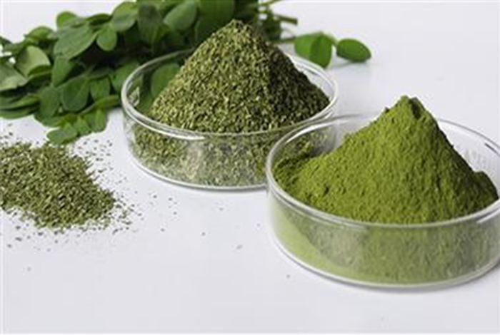 Moringa Powder