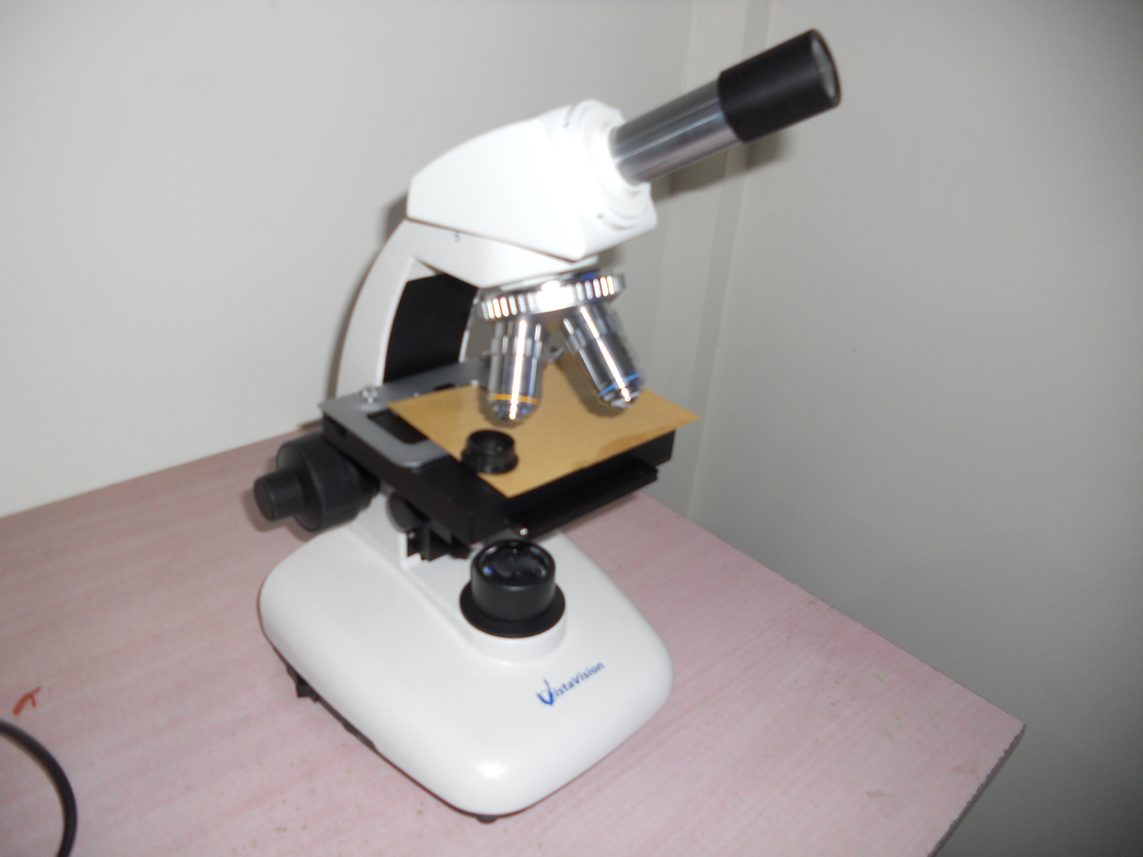 Fluorescence Microscope